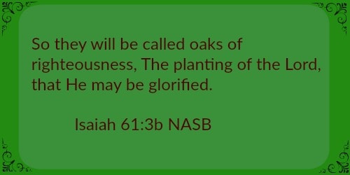 The planting of the Lord