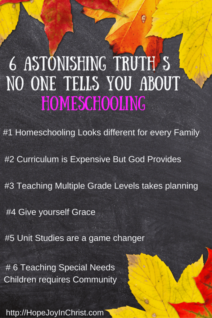6 Astonishing Truth s No one Tells you about Homeschooling. Homeschooling Tips, Homeschooling Curriculum, Homeschooling with Special Needs