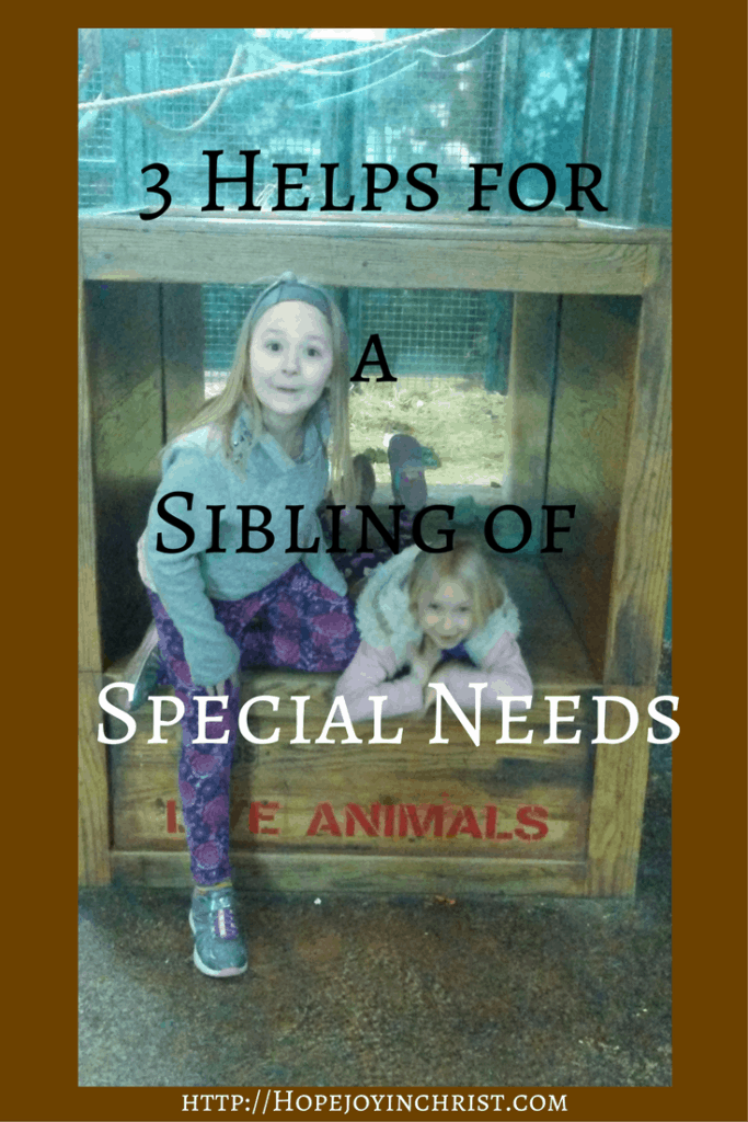 3 Helps for a Sibling of Special Needs, Parenting Help, Biblical Motherhood