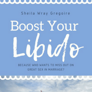 Boost your libido Tired of always feeling tired? Want to want your husband again? This online course will take you step-by-step at how to boost your libido! 10 videos plus exercises you can put into effect right away to show you that you actually CAN want--and enjoy--sex with your husband.#Giveaway #ChristianBooks #BibleStudy #ChristianMarriage #JoyInMarriage