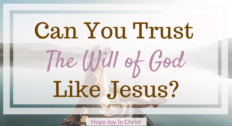 Can You Trust the Will of God Like Jesus FtImt, What is the will of God in our lives? How do we do the will of God? What is the will of the Father in Matthew 7:21? Out of the will of God, What is the will of God, Will of God Scriptures, The will of God quotes, The will of God will never take you, The will of God will never lead me where, Trust God #TrustGod #HopeJoyInChrist