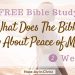 What Does The Bible Say About Peace of Mind, What does God say about your peace? What does Jesus teach about peace? How does the Bible define peace? What does the Bible say about peace be still, What does the Bible say about peace in your heart, Bible verses about peace in hard times, Characteristics of peace in the Bible, what does it mean to have the peace of God? Bible study on peace pdf #HopeJoyInChrist #Peace #BibleStudy